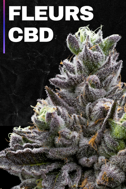 Fleurs de CBD