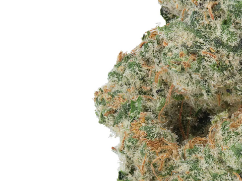 Fleur de CBD Miracle Alien Cookies CBD+ importée de Californie – variété premium indoor, arômes biscuités et effet détente équilibrée
