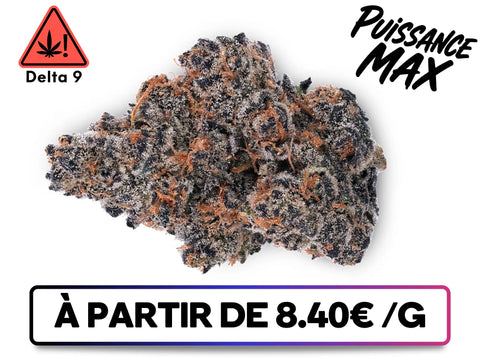 Amnesia Haze | D9 THC