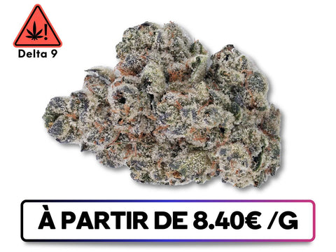 Amnesia fleur delta 9 disponible sur greenbuds.fr