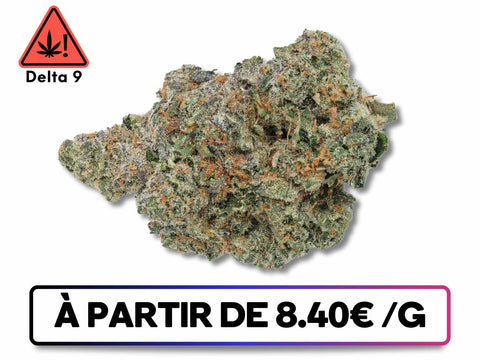 Bluedream fleur delta 9 disponible sur greenbuds.fr