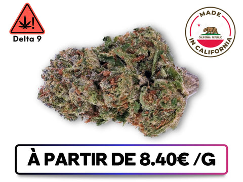 Bomb Cake Delta 9 THC fleur premium Californie buds denses résineux Greenbuds