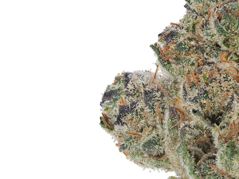 Cereal Milk | CBD+