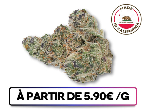 Cereal Milk CBD+ – Fleur indoor premium de Californie, buds compacts vert-kaki recouverts de trichomes brillants et pistils dorés.