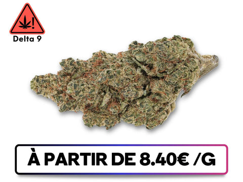 Lemon skunk fleur delta 9 disponible sur greenbuds.fr