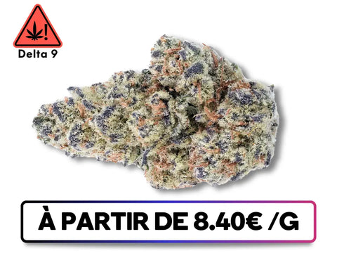 Image de l’OG Kush Delta 9 THC disponible sur greenbuds.fr, mettant en avant son packaging premium, ses arômes d’agrumes et son goût légendaire