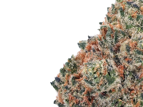Fleur Orange Bud Delta 9 THC premium, buds denses avec pistils orange et trichomes résineux – Greenbuds.fr