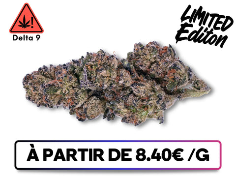 Purple Kush Delta 9 THC – fleurs violettes premium, arômes sucrés et floraux, enrichies au Delta 9 THC, disponibles sur Greenbuds.fr