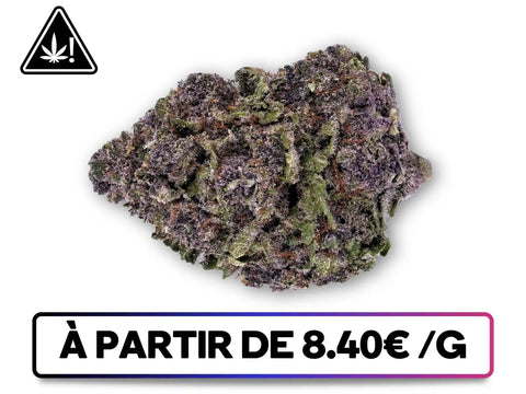 Verts Runtz Best-Sellers – Greenbuds