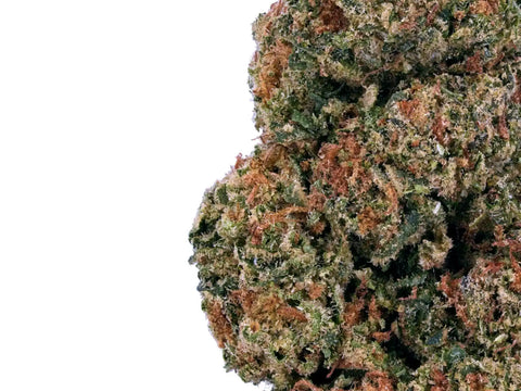 Macro de la fleur Royal Berry D9 THC – arômes sucrés et agrumes, teintes vertes et violettes.