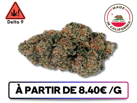 Fleurs de Royal Berry D9 THC, variété premium au parfum sucré et agrumé. Buds denses et résineuses, teinte verte et violette, riches en trichomes. Cannabis légal importé de californie, puissant et relaxant.