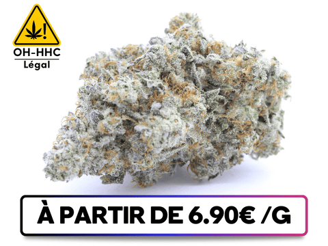 Image de la Super Critical OH-HHC de greenbuds.fr, une alternative 100% légale au HHC, offrant des effets puissants et des arômes saisissants.