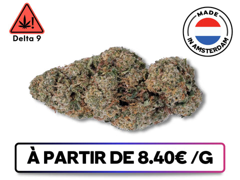 GreenBuds.fr – Fleur Super Lemon Haze Delta 9 THC <0,3%