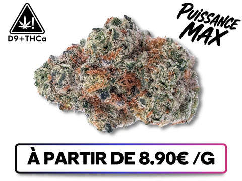 White Runtz | D9+THCa