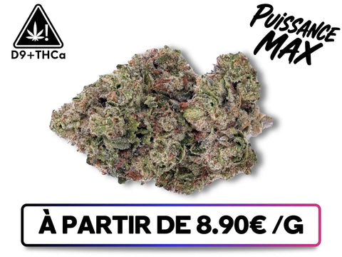 White Runtz | D9+THCa